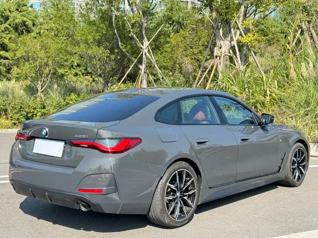 BMW 4 Series — Фото автомобиля 19