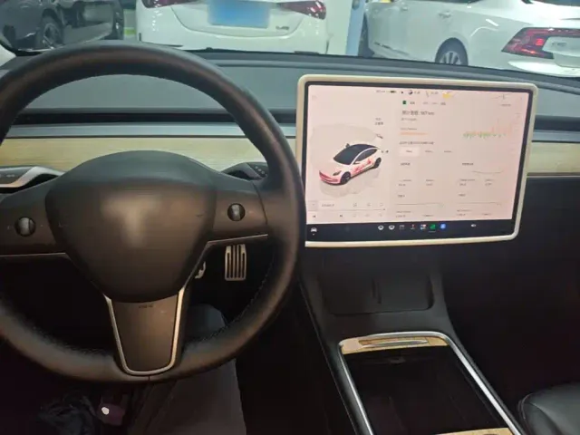 Tesla Model 3 — Фото автомобиля 9