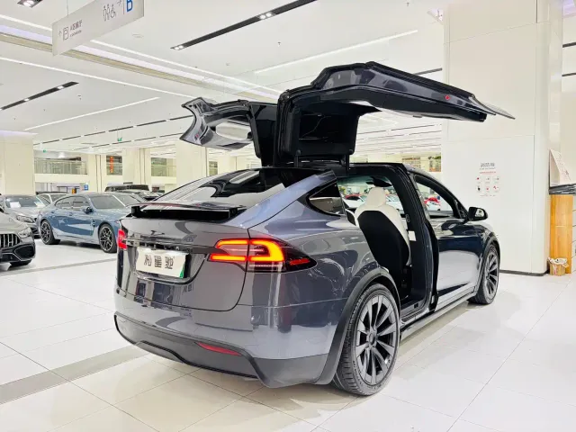 Tesla Model X 2023 Dual Motor All-Wheel Drive Edition — Фото автомобиля 4