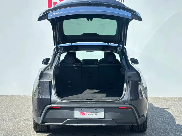Tesla Model Y — Фото автомобиля 9