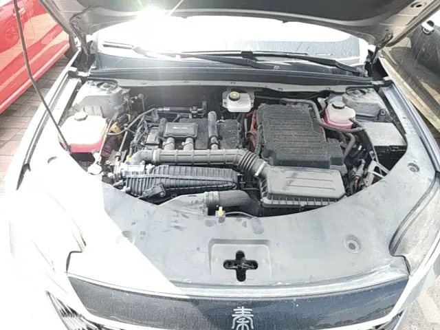 BYD Qin PLUS — Фото автомобиля 15