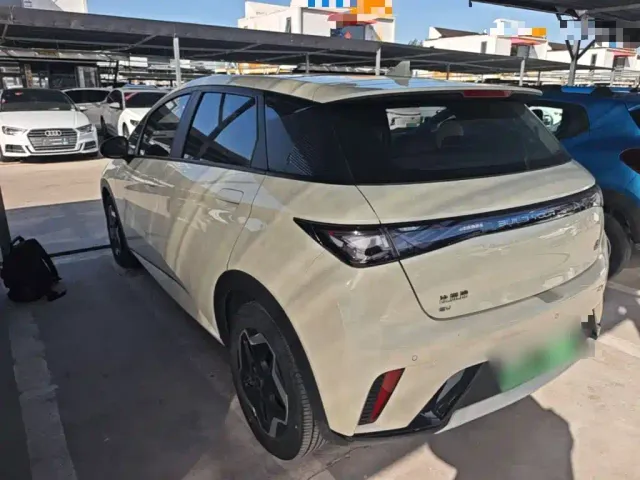 BYD Dolphin — Фото автомобиля 4