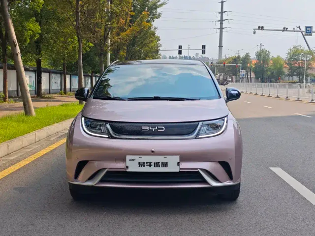 BYD Dolphin — Фото автомобиля 2