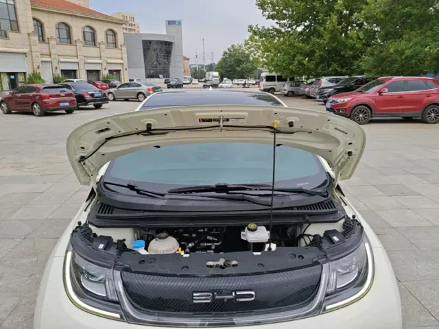 BYD Dolphin — Фото автомобиля 19