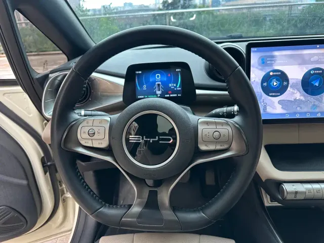 BYD Dolphin — Фото автомобиля 15