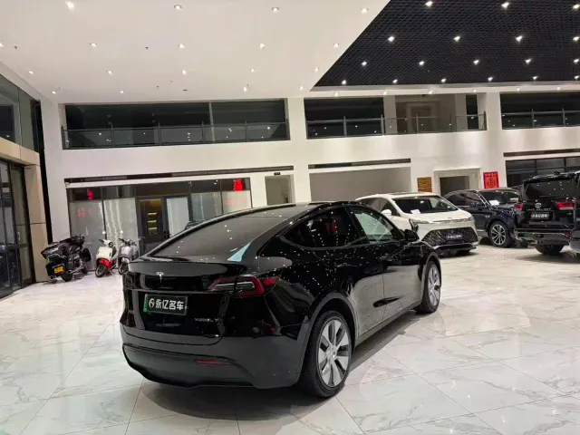 Tesla Model Y — Фото автомобиля 19