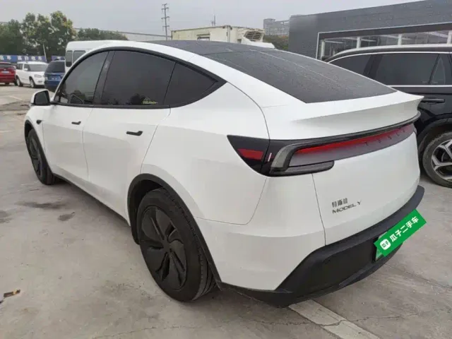 Tesla Model Y — Фото автомобиля 4