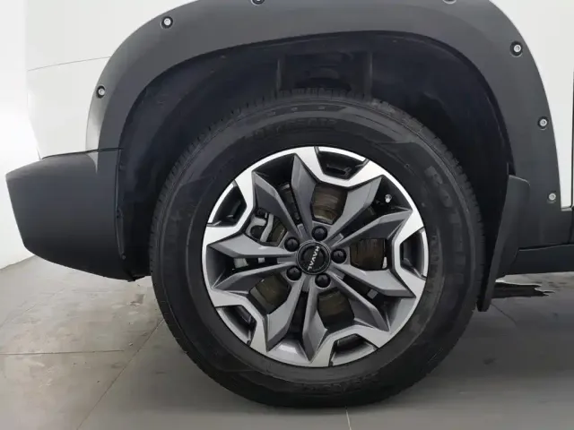 Haval Big Dog — Фото автомобиля 17