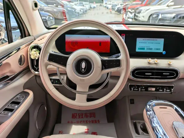 Ora Ballet Cat — Фото автомобиля 14