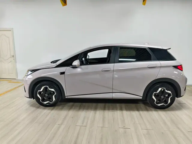 BYD Dolphin — Фото автомобиля 6