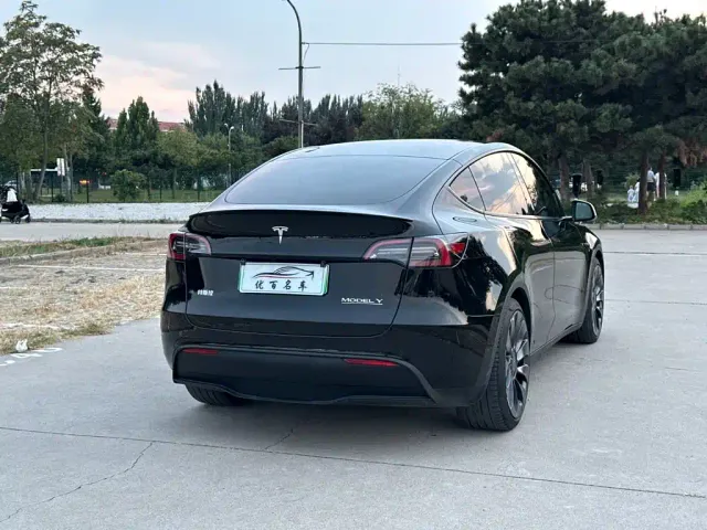 Tesla Model Y 2023 High Performance All-Wheel Drive Edition — Фото автомобиля 6