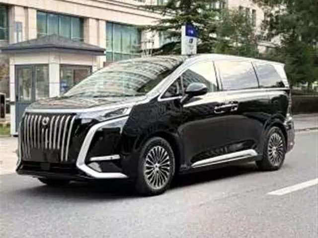 Фотография автомобиля — Denza D9
