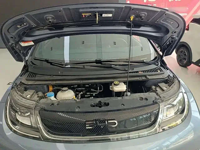 BYD Dolphin — Фото автомобиля 24