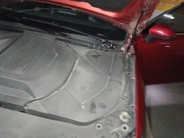 BYD Qin PLUS — Фото автомобиля 22