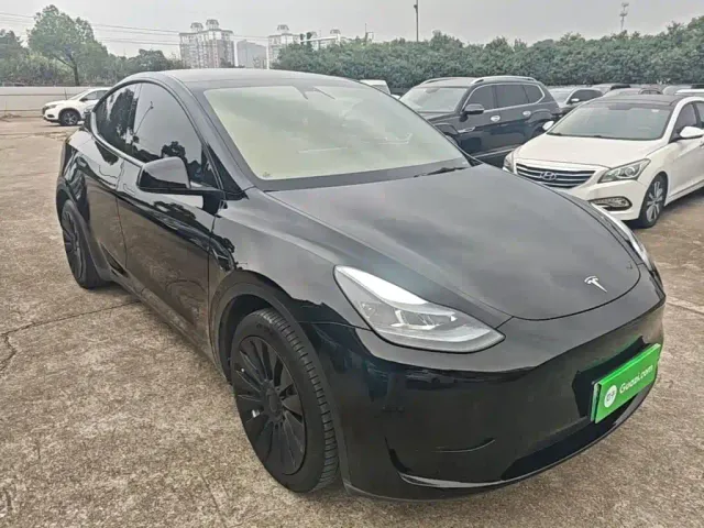 Tesla Model Y — Фото автомобиля 3