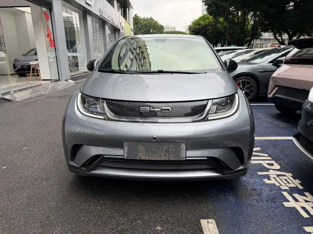 BYD Dolphin — Фото автомобиля 2