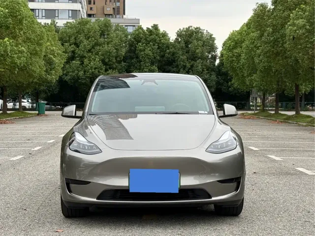 Tesla Model Y — Фото автомобиля 2