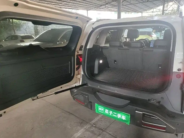 BYD FangChengBao Titanium 3 — Фото автомобиля 21