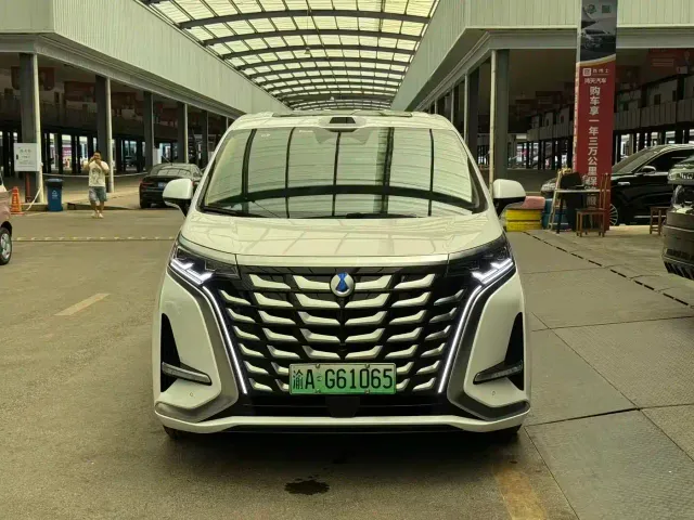 Denza D9 — Фото автомобиля 2