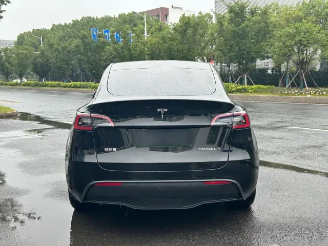 Tesla Model Y — Фото автомобиля 4