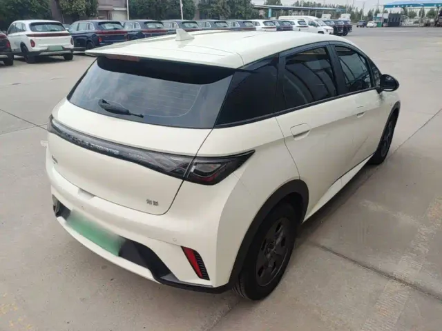 BYD Dolphin — Фото автомобиля 6