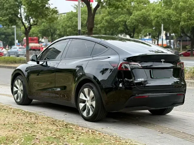 Tesla Model Y — Фото автомобиля 9