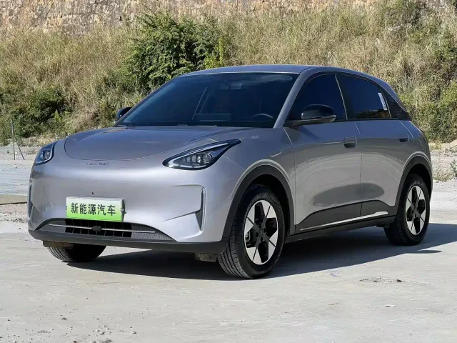 Фотография автомобиля — Geely Starry Wish