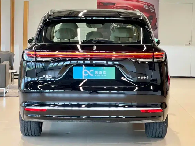 Shangjie Shangjie SUV 2025 Model Pure Electric Pro — Фото автомобиля 6