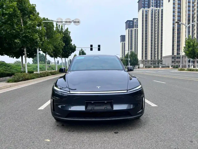Tesla Model Y — Фото автомобиля 2