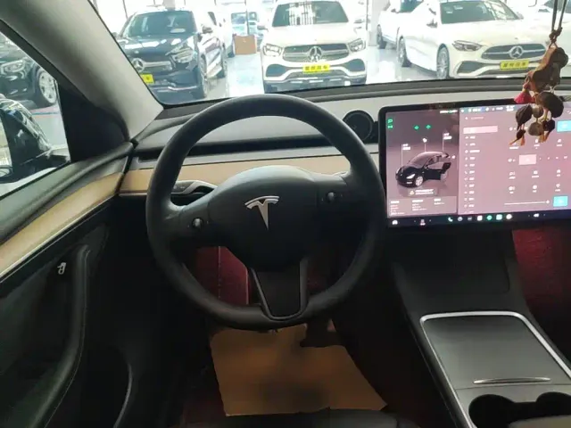 Tesla Model Y — Фото автомобиля 10