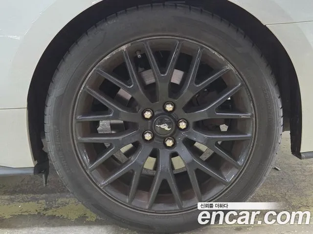 Ford Mustang Mustang GT Купе — Фото автомобиля 19