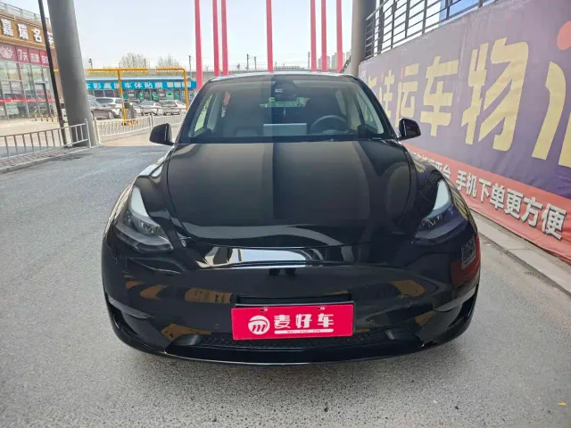 Tesla Model Y — Фото автомобиля 2