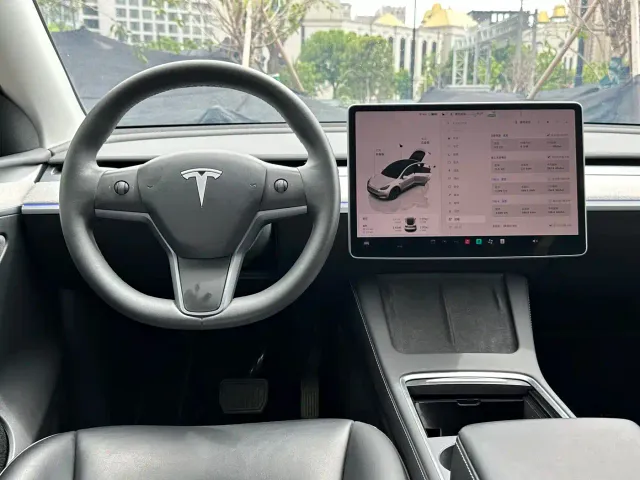 Tesla Model Y — Фото автомобиля 18