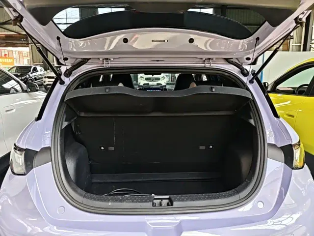 BYD Dolphin — Фото автомобиля 18