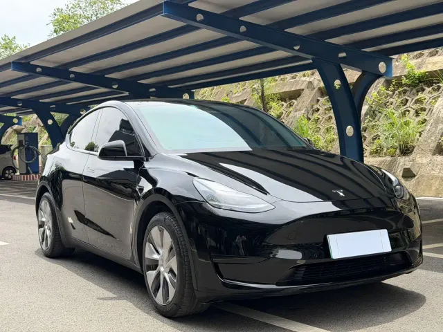 Tesla Model Y — Фото автомобиля 3