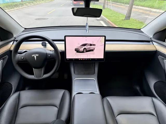 Tesla Model Y — Фото автомобиля 6