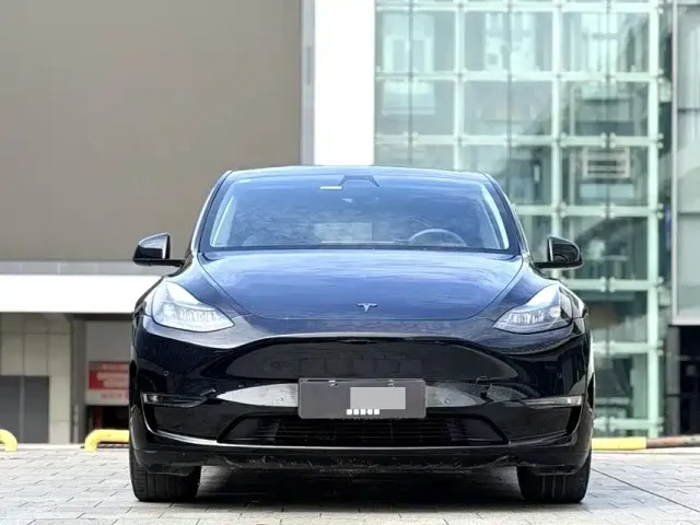 Tesla Model Y — Фото автомобиля 3