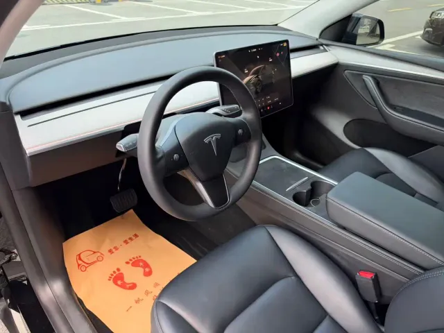 Tesla Model Y — Фото автомобиля 10