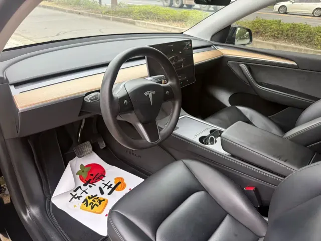 Tesla Model Y — Фото автомобиля 4