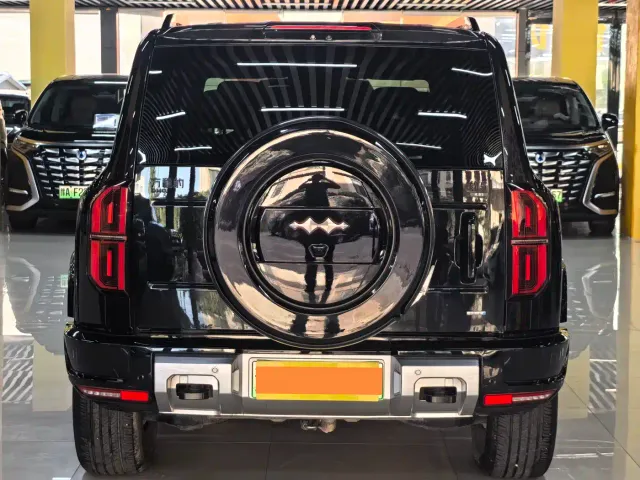 BYD FangChengBao Leopard 5 — Фото автомобиля 16