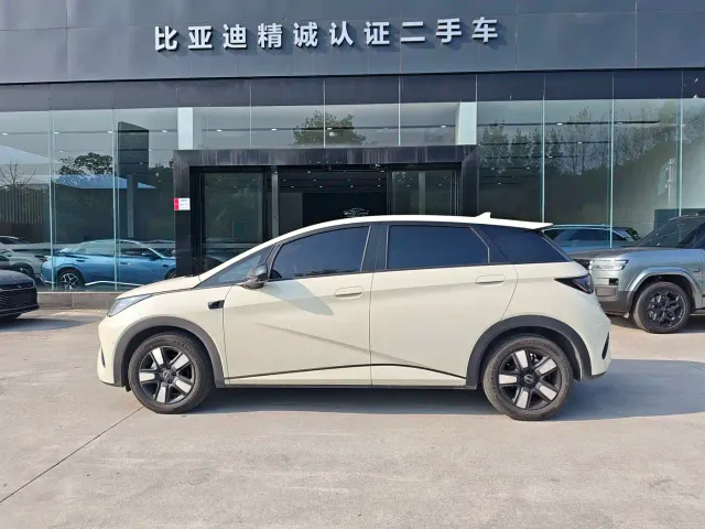 BYD Dolphin — Фото автомобиля 4