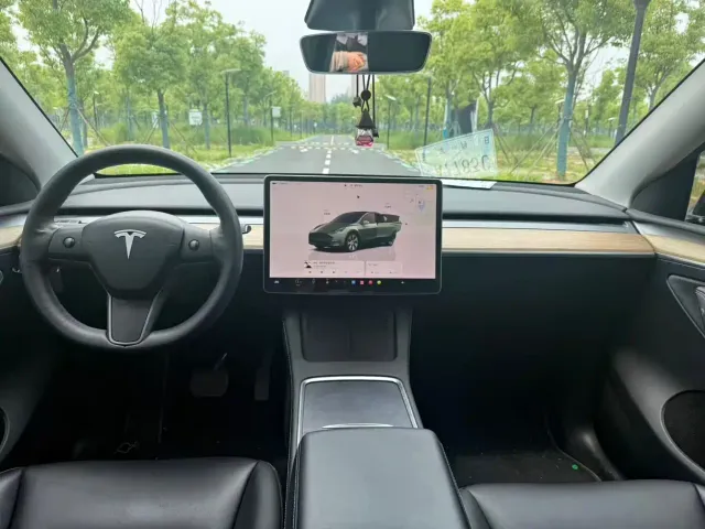 Tesla Model Y — Фото автомобиля 6