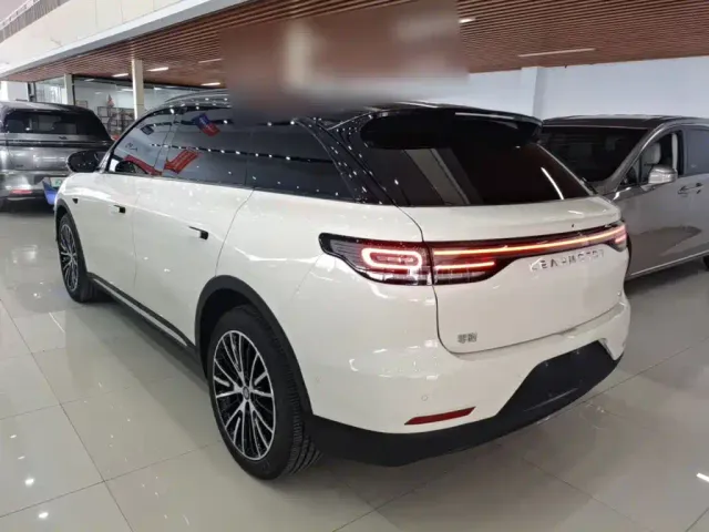 Leapmotor C11 — Фото автомобиля 4