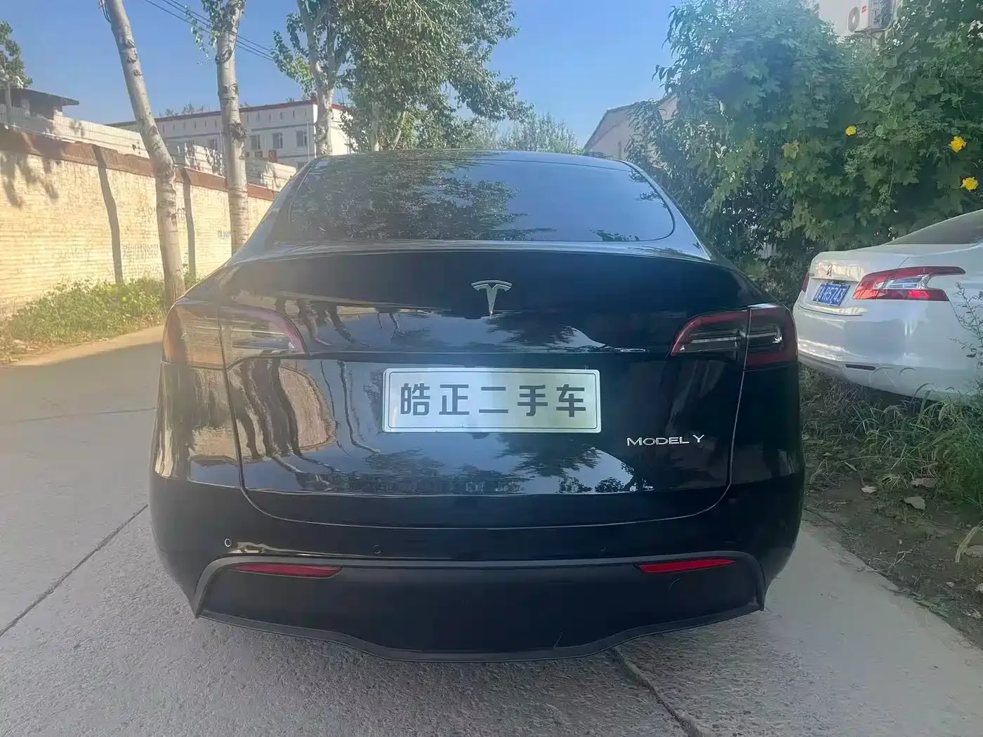Tesla Model Y 2023 Rear-Wheel Drive Edition — Фото автомобиля 6