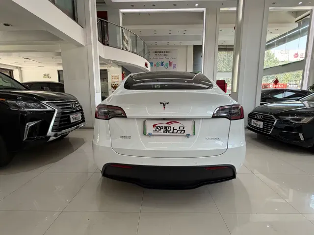 Tesla Model Y — Фото автомобиля 10