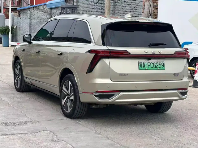Wey Lanshan — Фото автомобиля 10