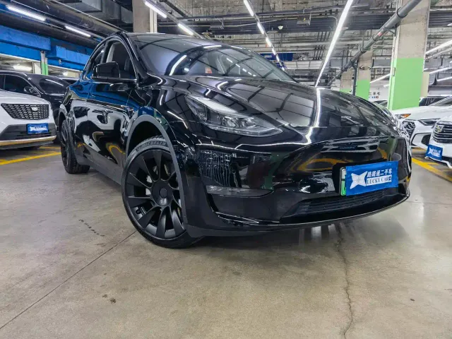 Tesla Model Y — Фото автомобиля 3