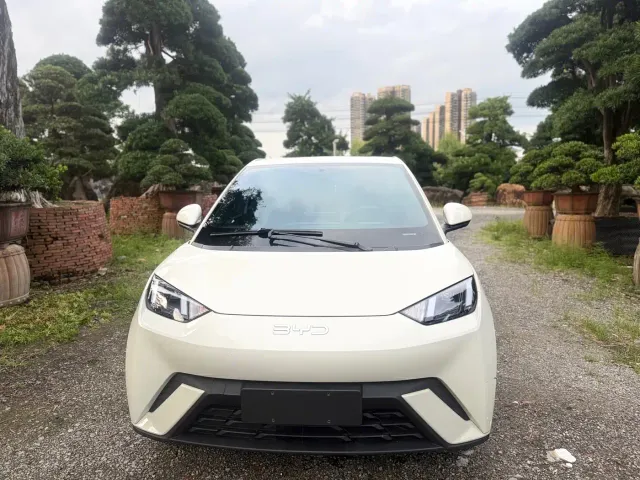 BYD Seagull — Фото автомобиля 2