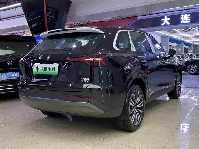 Hongqi HS6 PHEV — Фото автомобиля 17