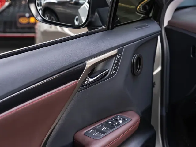 Lexus RX — Фото автомобиля 20